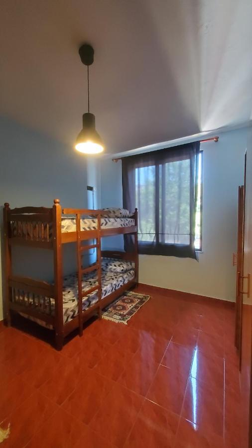Traveler Hostel Shkodër Exteriör bild